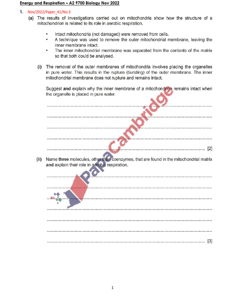 2022N - A2 Energy and Respiration 9700 Biology 1 | PDF