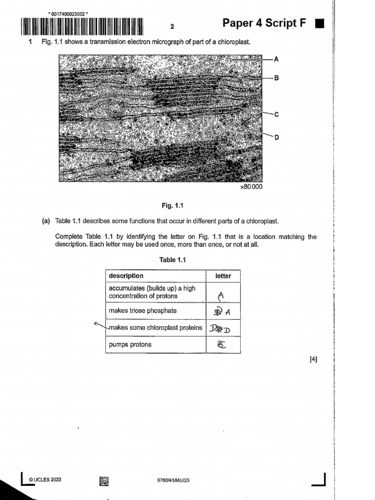 17 9700 FOA2 P4 ScriptF | PDF
