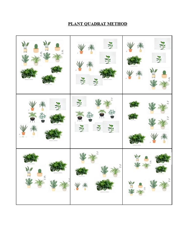 Plant Quadrat Method | PDF