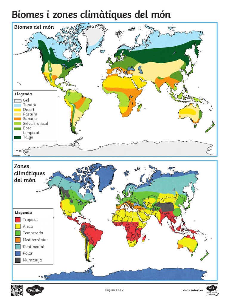 Ficha Biomas y Zonas Climaticas Del Mundo | PDF
