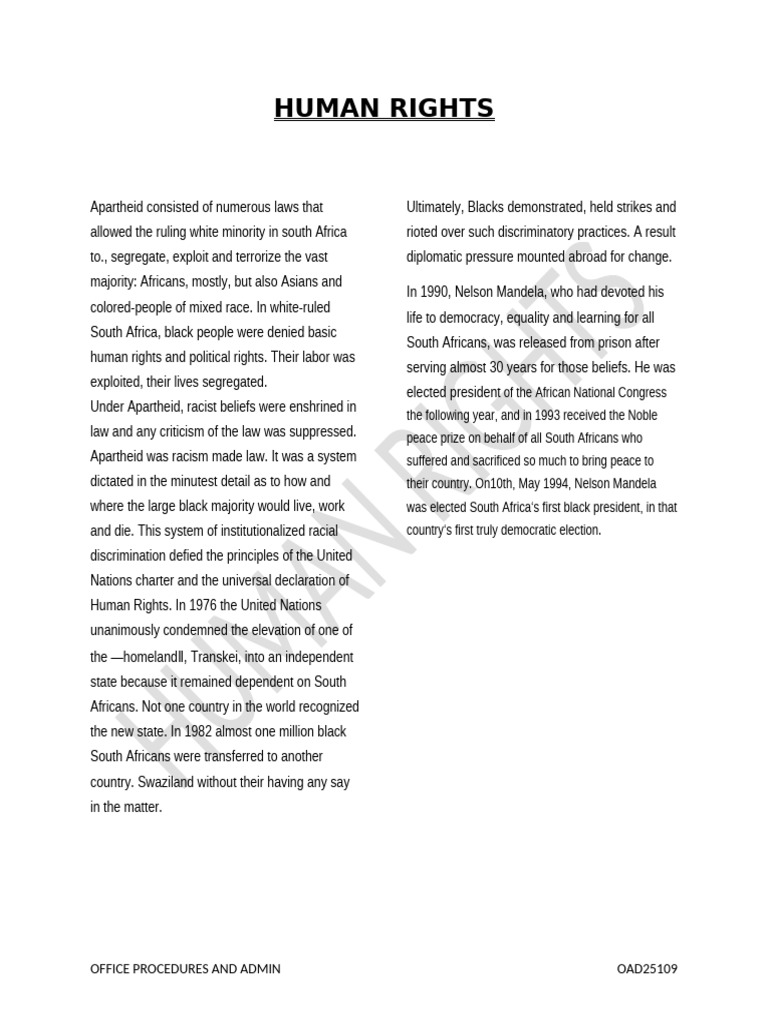 Human Rights | PDF