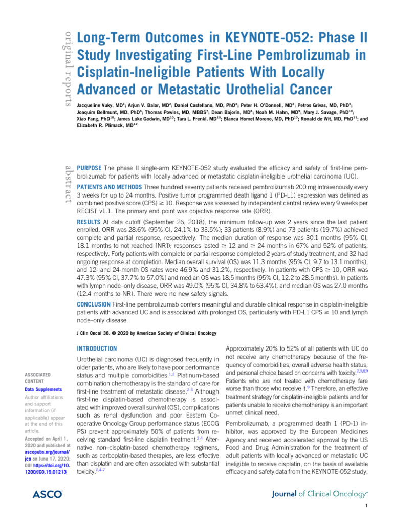 Keynote 052 | PDF | Medical Imaging | Chemotherapy