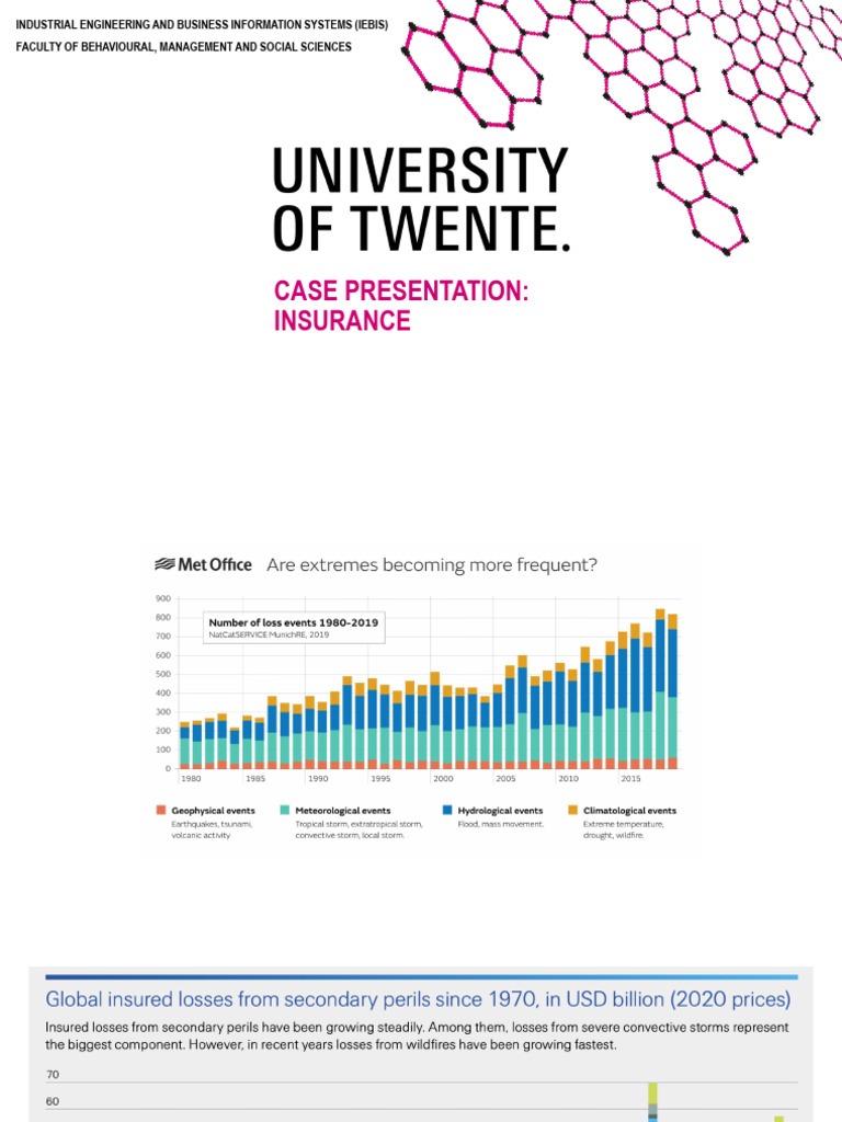 2024 - M3 - Insurance Case - Braun | PDF