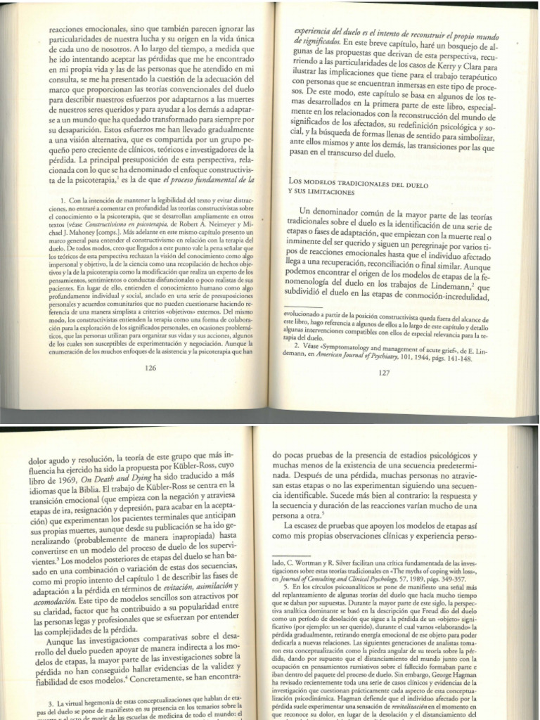 NEIMEYER -Aprender de la pérdida | PDF | Dolor | Teoría