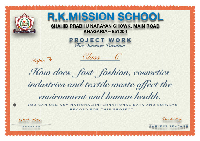 Class 6 Project Work Summer Vacation (2024 2025) 2 | PDF