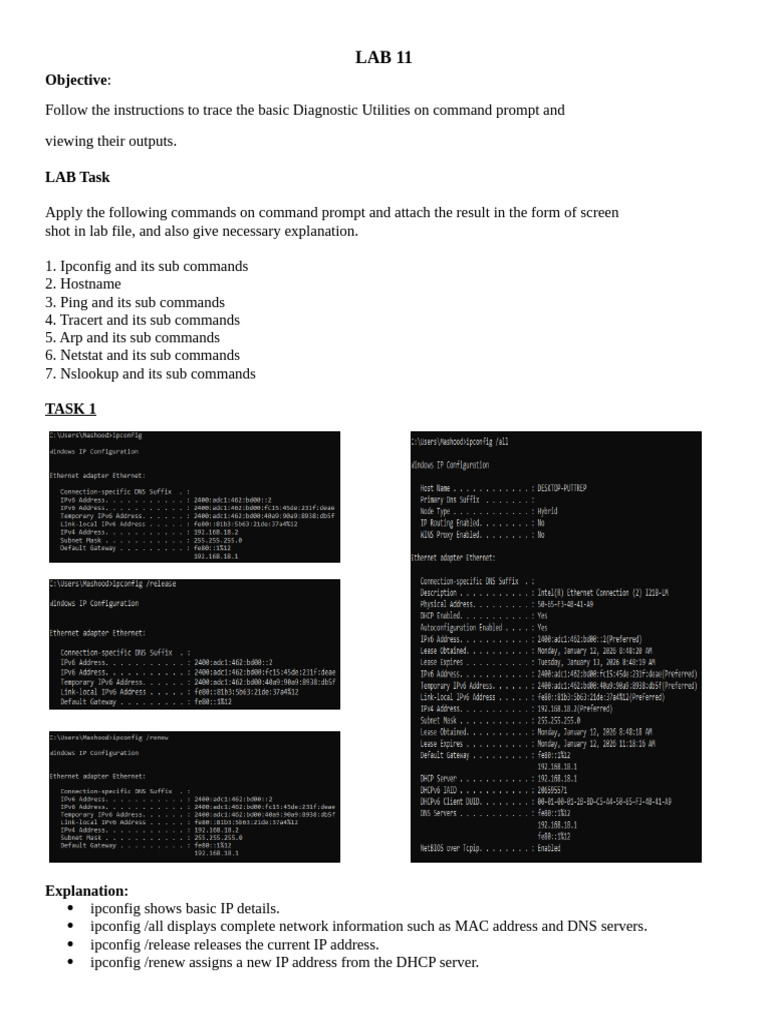 LAB 11 | PDF