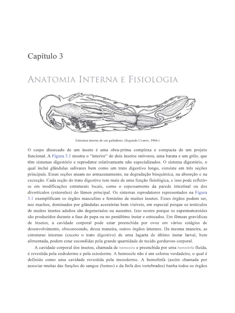 Anatomia Interna Insetos Gullan&Cranston | PDF