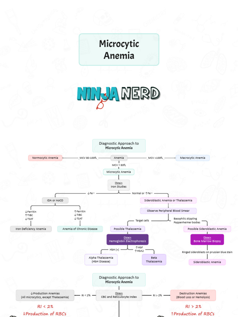 HEME-01 Microcytic Anemia (Slides) | PDF | Anemia | Hematology