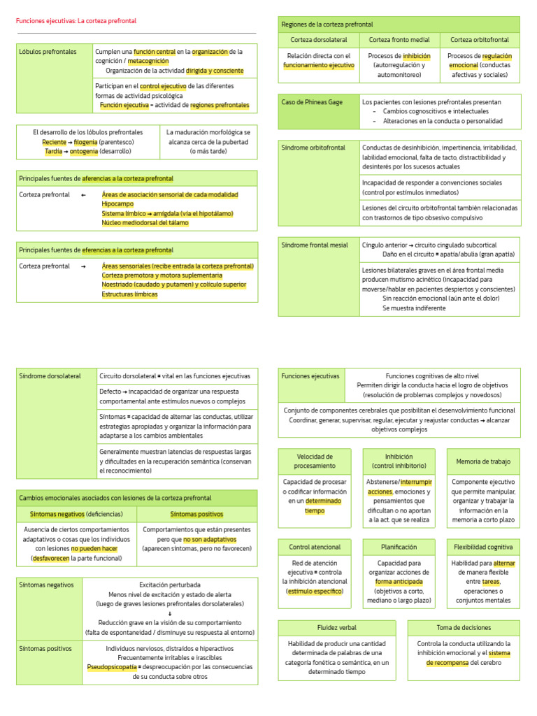 NEURO PARCIAL II | PDF | Cerebro | Neuropsicología