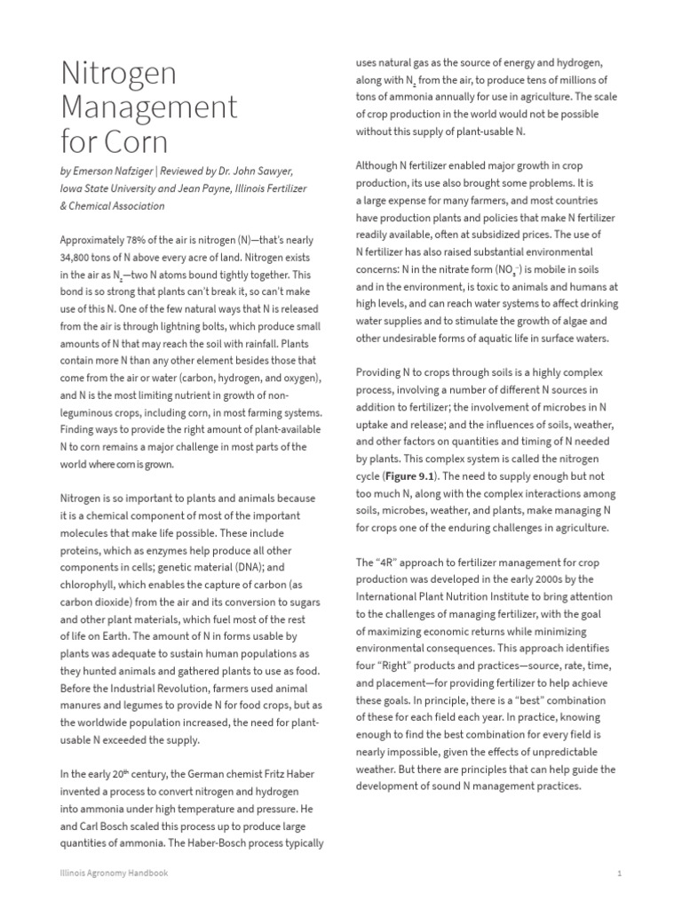 Iah - Nitrogen Management For Corn v4 | PDF | Soil | Ammonium
