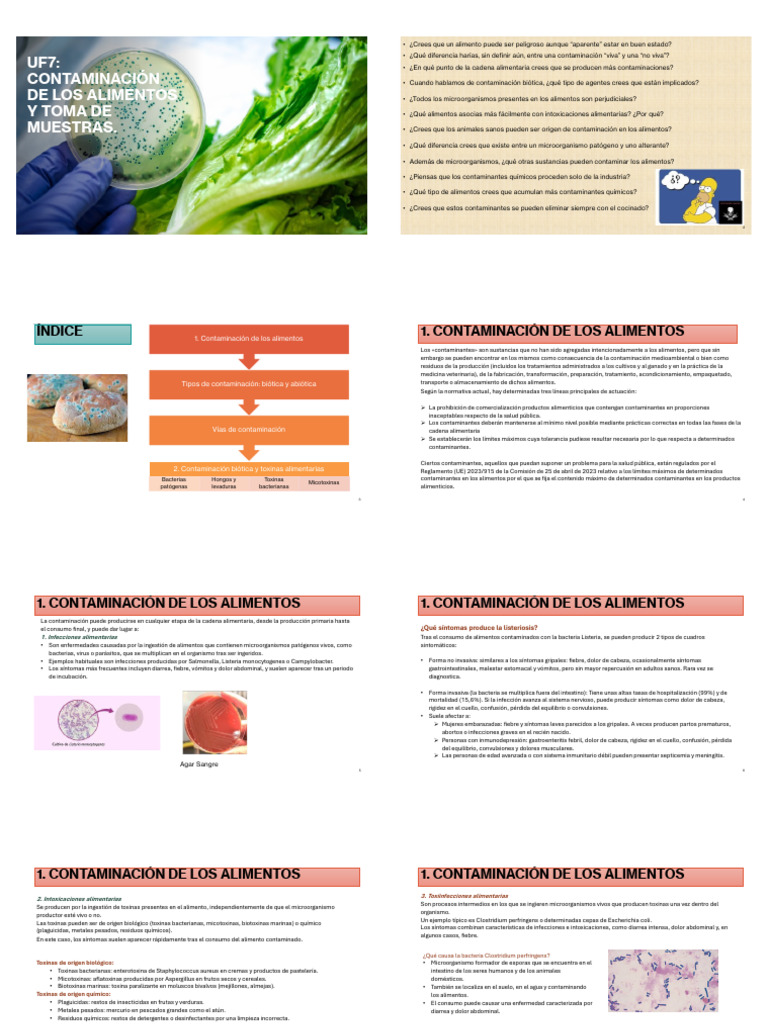 Uf 7 Contaminacion de Alimentos y Toma de Muestras Imprimir | PDF ...