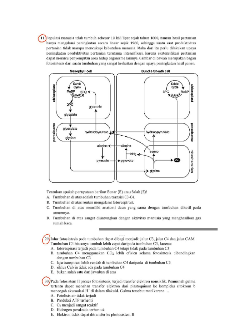 T C3 C4 CAM - Google Docs (1) | PDF