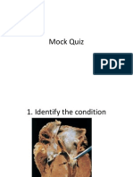 Mock Quiz