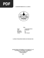 Download Elektroforesis Gel Agarosa by Ariani Sukma Dewi SN99481853 doc pdf