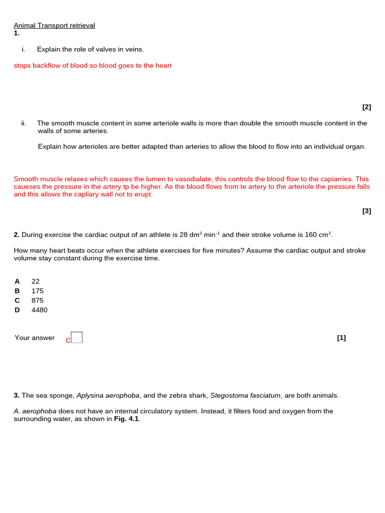 09 Animal Transport Retrieval Q&A | PDF | Artery | Heart Valve