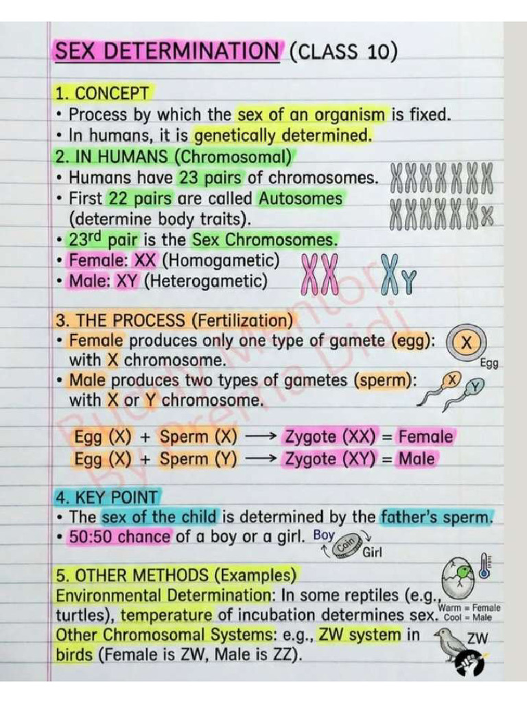 Heredity Life Science Notes | PDF