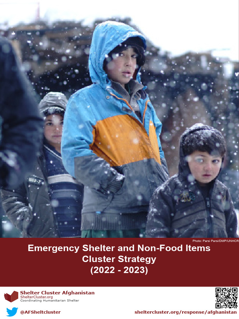 Shelter Cluster Strategy Afg | PDF | Internally Displaced Person ...