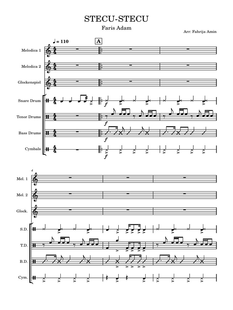 Stecu Part2 | PDF | Percussion Instruments | Musical Instruments