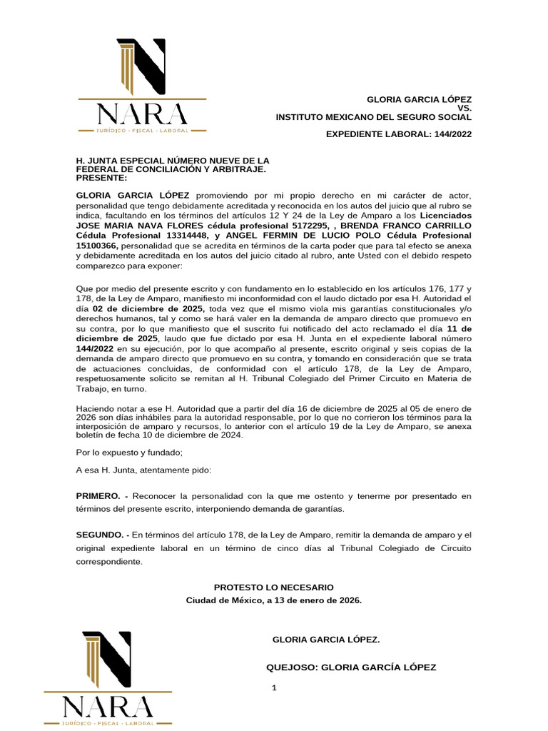 Amparo Directo | PDF | Caso de ley | Demanda judicial