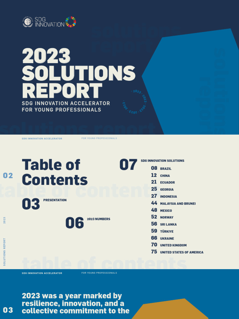 Final Project 2023 Solutions Report | PDF | Sustainability | Innovation