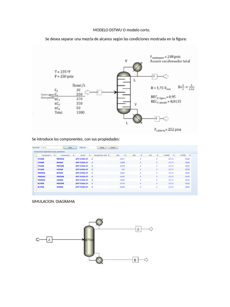 MODELO DSTWU O Modelo Corto | PDF