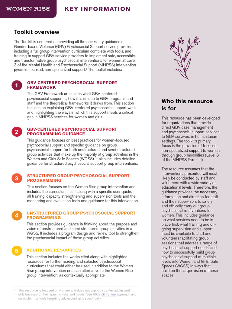 Women Rise Key Information | PDF | Violence | Psychosocial
