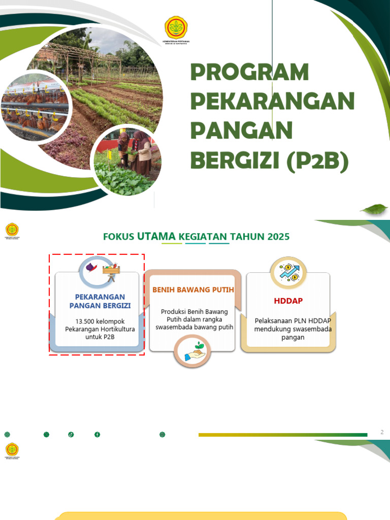 Bahan Tayang Sosialisasi P2B 19 Maret 2025 | PDF