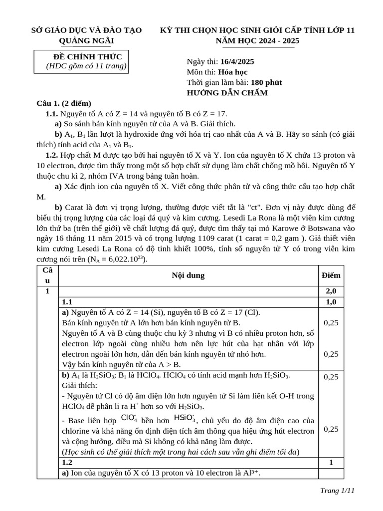 12. 2024-2025 Hsg 11 Quảng Ngãi - File Hdc | PDF