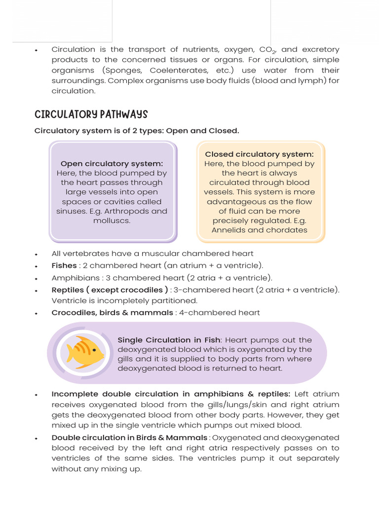1 Circulation | PDF | Atrium (Heart) | Heart