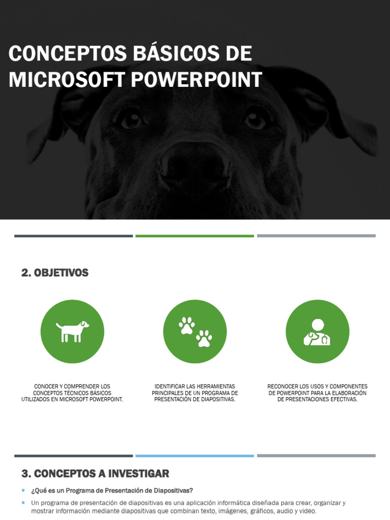 Mejia Noerlin 1181226 Conceptos Basicos | PDF | Microsoft PowerPoint ...