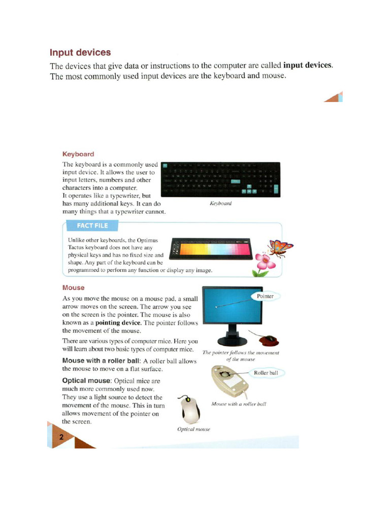 Input and Output Devices | PDF