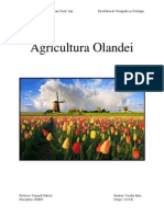 Agricultura Olandei