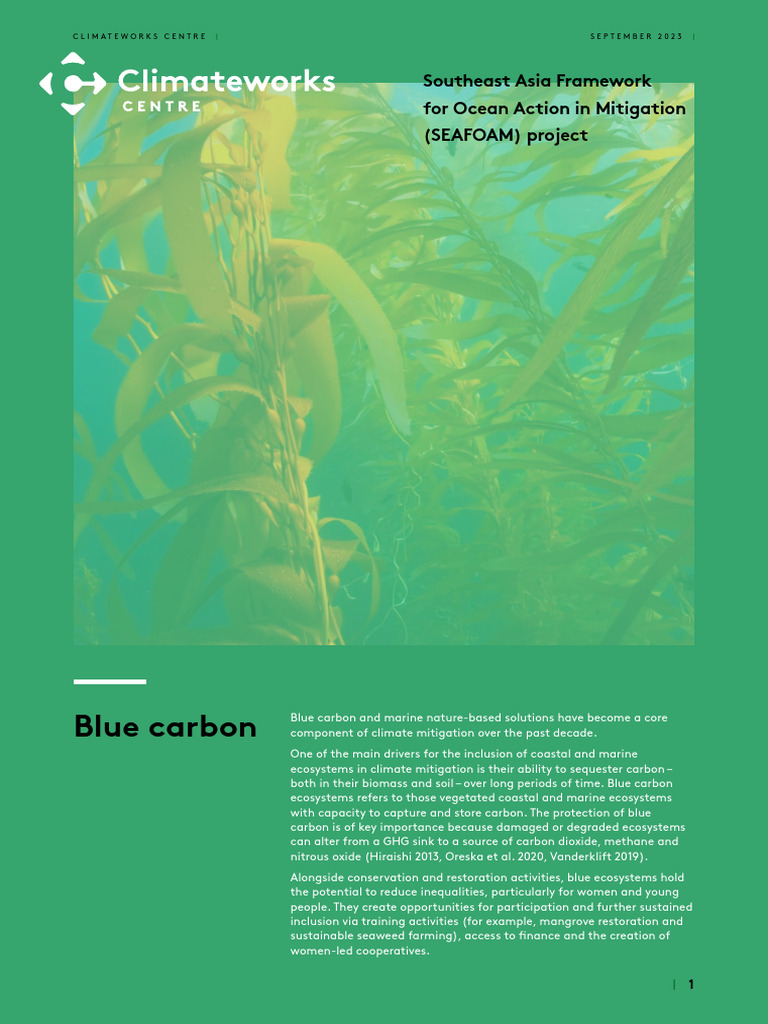 Sea of Opportunity Blue Carbon Fact Sheet Climateworks Centre September ...