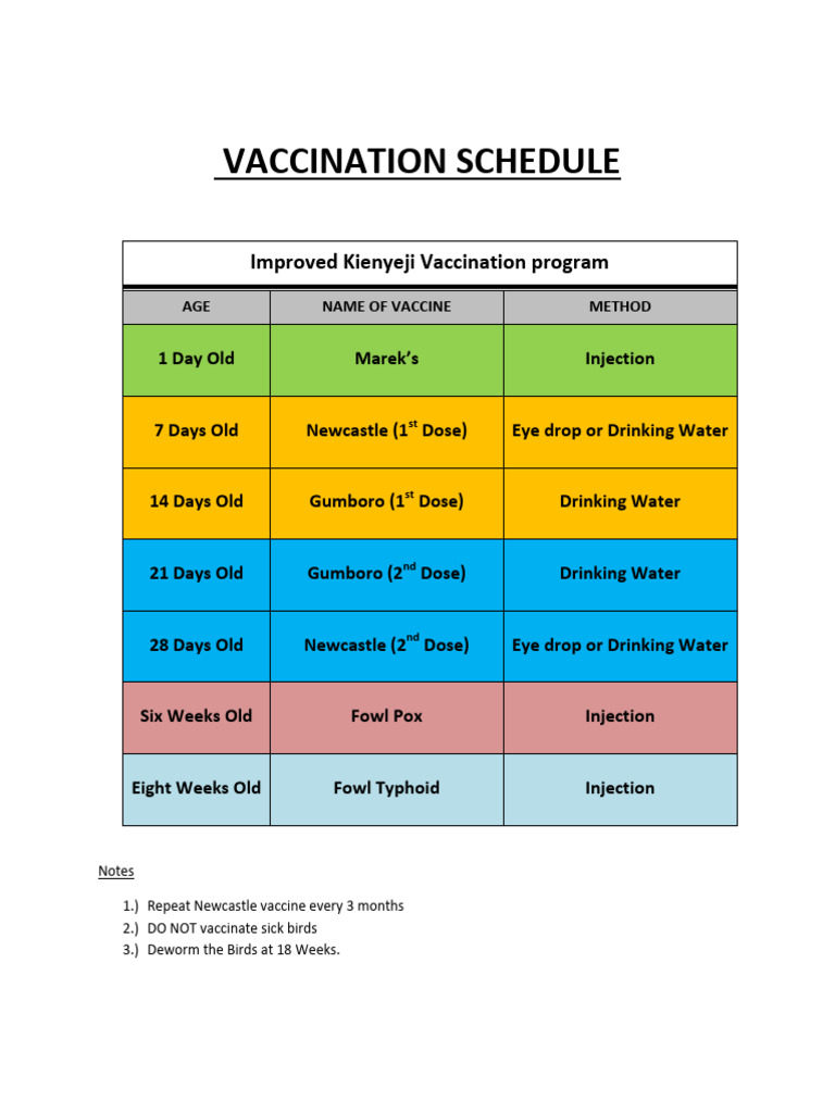 Vaccination Program | PDF