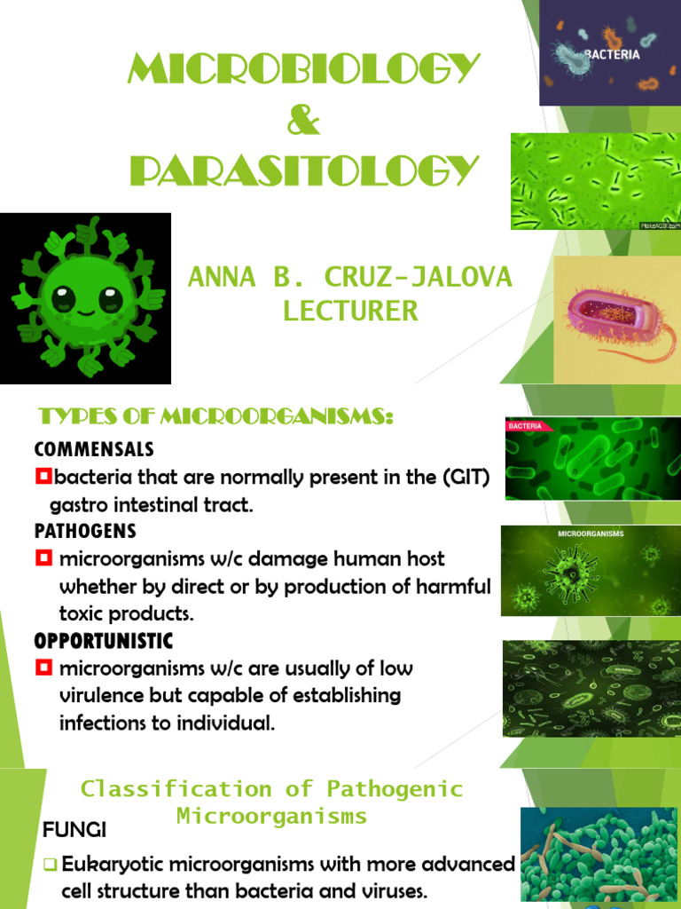 Microbiology Lecture #2 (Types of Microorganisms) | PDF | Cell (Biology ...