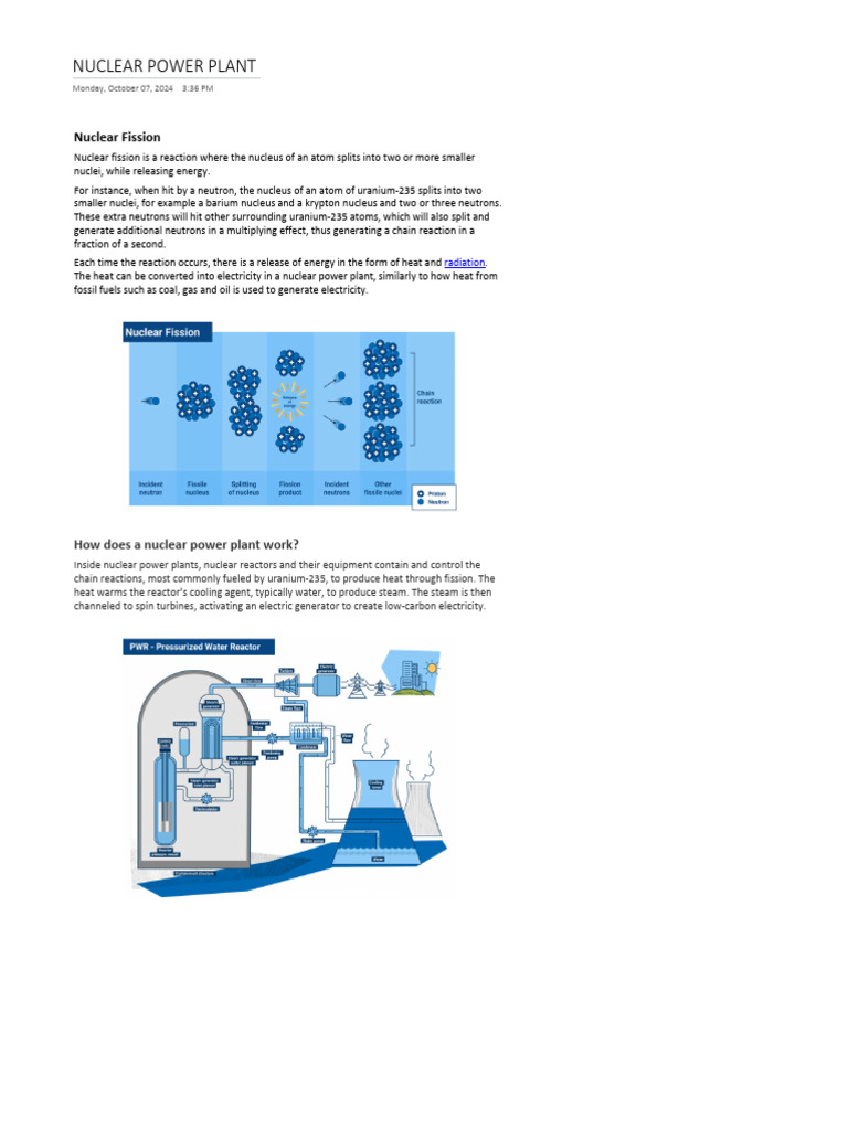 Nuclear Power Plant | PDF | Nuclear Fuel | Nuclear Power