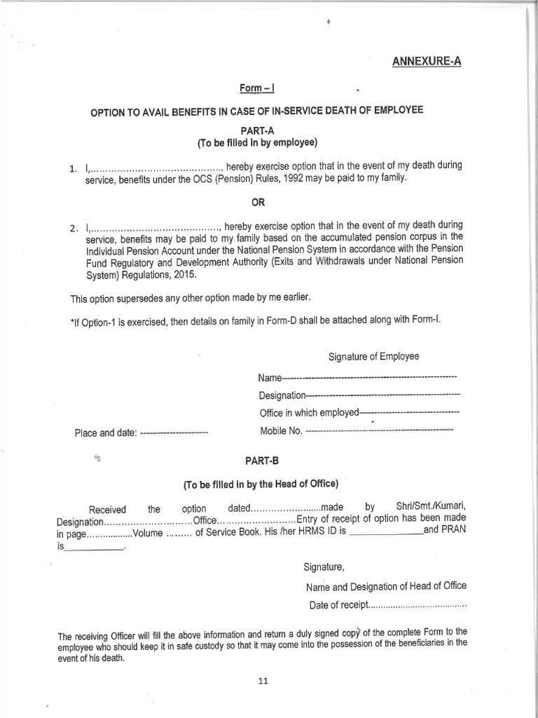 Nps Option Form | PDF