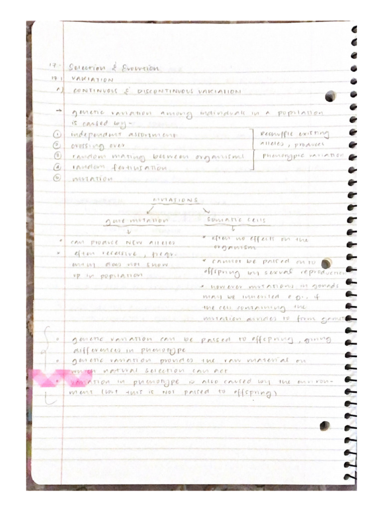 17 Selection Handwritten | PDF