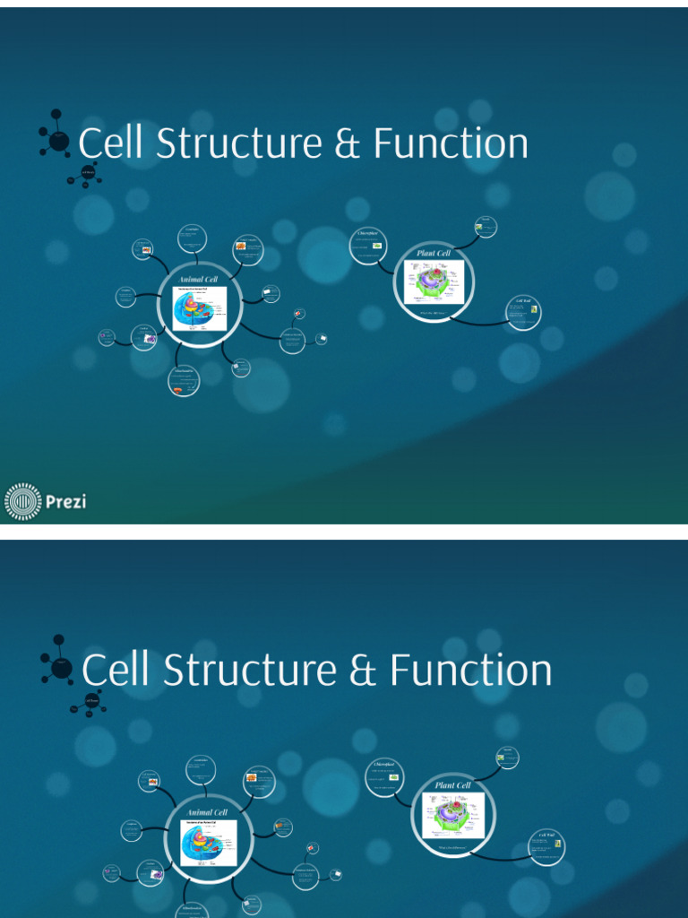 Cell Structure and Function | PDF