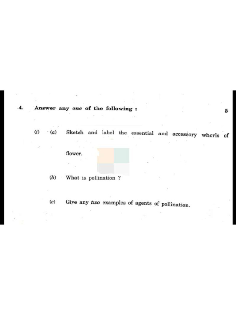 5 Marks Imp | PDF