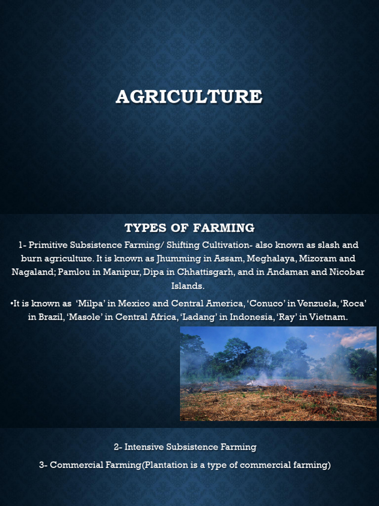 Agriculture (1) | PDF | Crops | Agronomy