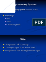 Integumentary System