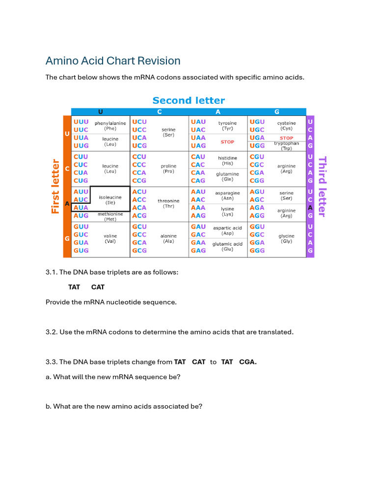 Amino Acid Chart Revision | PDF