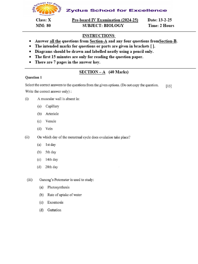 PB IV paper | PDF