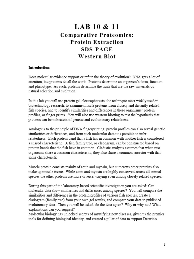 BIOL1002 Lab 10 11 Comparative Proteomics Mod | PDF | Gel ...