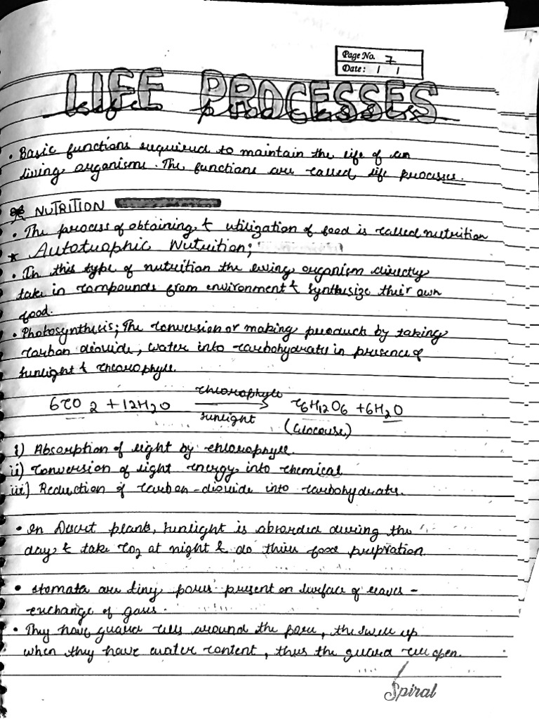 Life Processes Notes | PDF