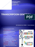 Transcripcion Genetica