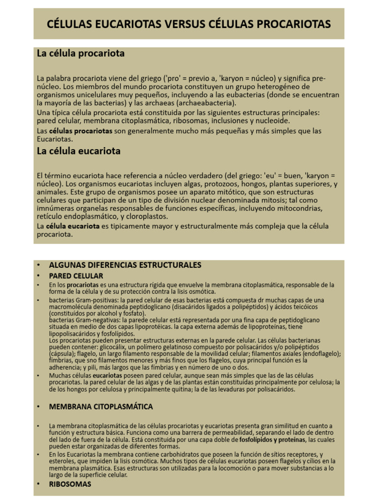 Células Eucariotas Versus Células Procariotas | PDF | Nucleo celular ...