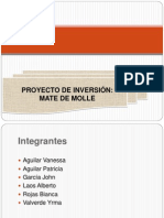 Proyecto Molle Final
