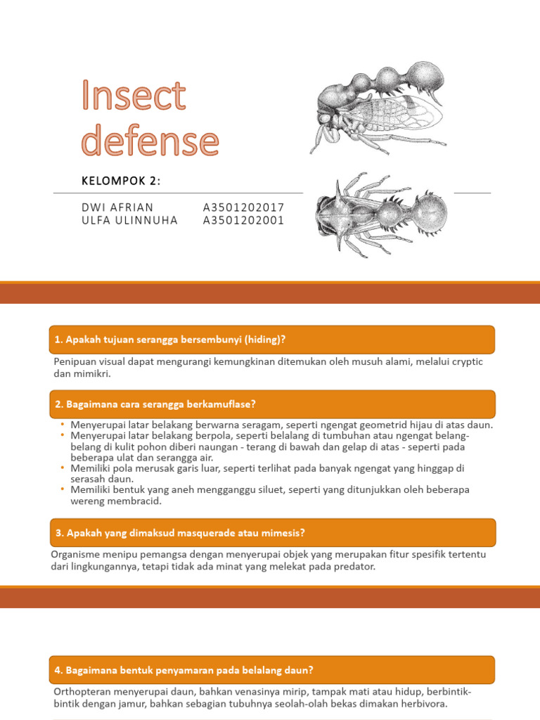 Review - Chapter 14 - Insect Defense | PDF